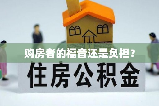 大化购房者的福音还是负担？