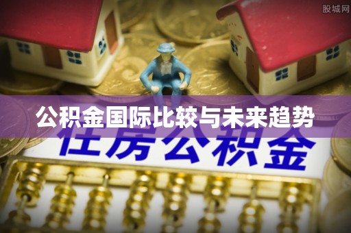 大化公积金国际比较与未来趋势