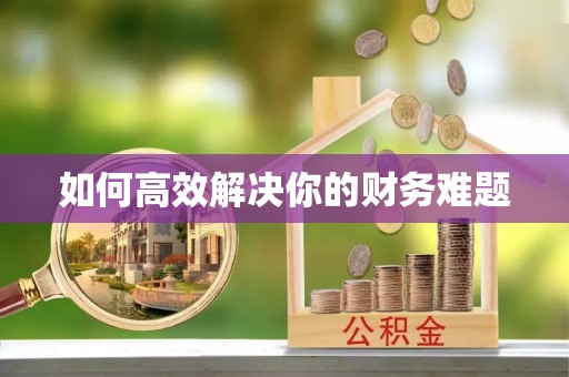 大化如何高效解决你的财务难题