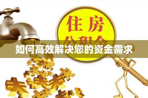 大化如何高效解决您的资金需求