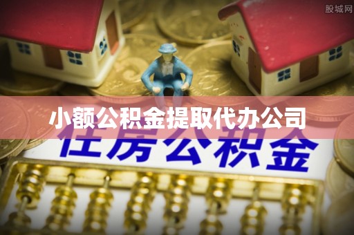 大化小额公积金提取代办公司
