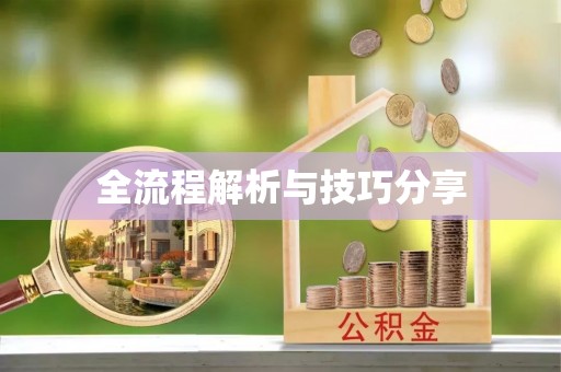 大化全流程解析与技巧分享